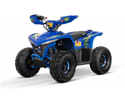 Junior electric quad bikes hot sale